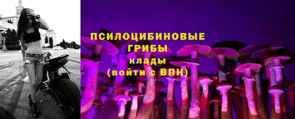 таблы Слюдянка