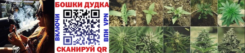 Конопля Ganja  купить   МЕГА онион  Пенза 